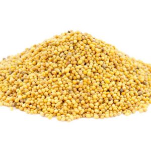 Mustard Seeds & Powder